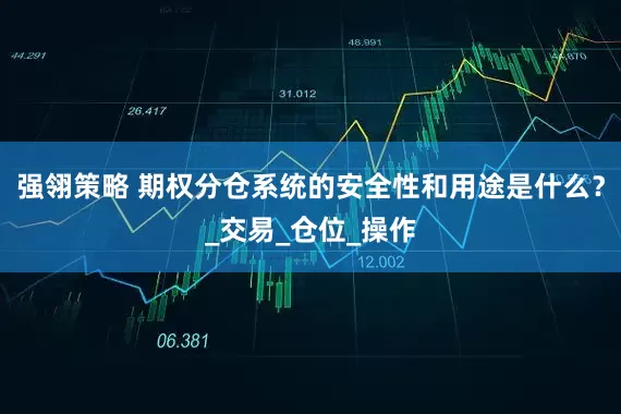 强翎策略 期权分仓系统的安全性和用途是什么？_交易_仓位_操作