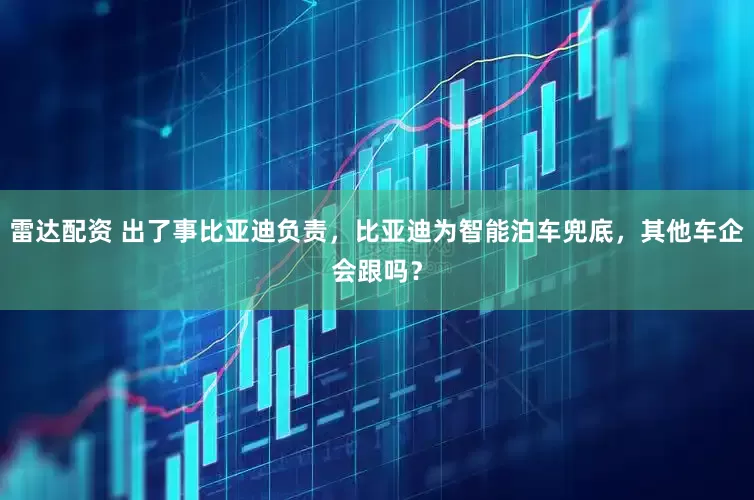 雷达配资 出了事比亚迪负责，比亚迪为智能泊车兜底，其他车企会跟吗？