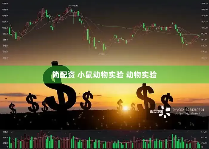 简配资 小鼠动物实验 动物实验