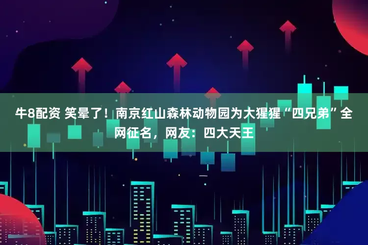 牛8配资 笑晕了！南京红山森林动物园为大猩猩“四兄弟”全网征名，网友：四大天王