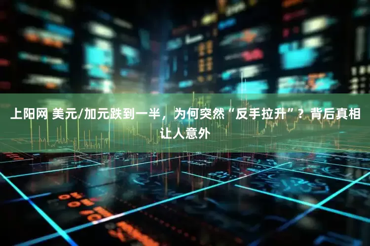 上阳网 美元/加元跌到一半,为何突然“反手拉升”?背后真相让人意外