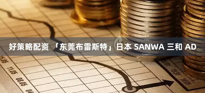好策略配资 「东莞布雷斯特」日本 SANWA 三和 AD